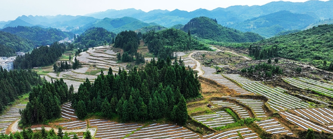 ؑcꖣ춬NֲȺ¸(mng)