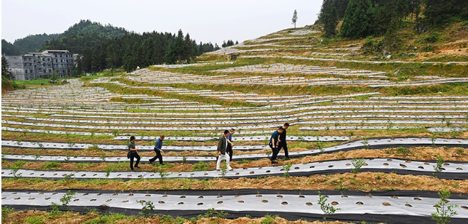 ؑcꖣ춬NֲȺ¸(mng)