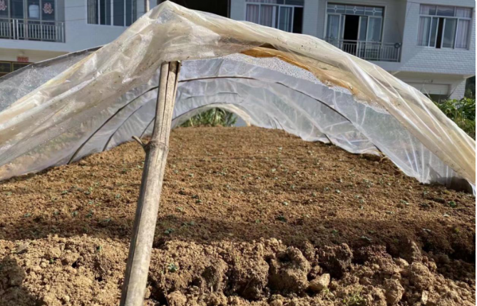 ؑcϪӆηNֲS ¸®a(chn)I(y)