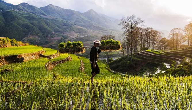 NֲǧʮģҎ(gu)r(nng)I(y)NֲɶyٍX