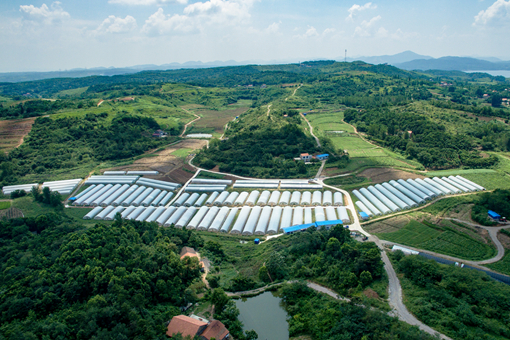 r(nng)儓(chung)I(y)ע(xing)-zDW(wng)