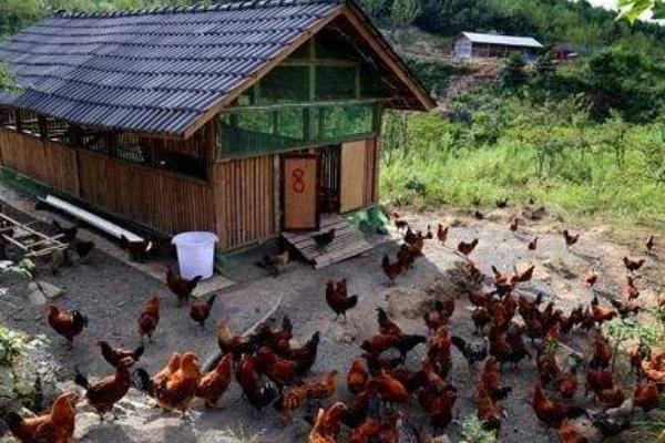 ʮ(g)mr(nng)儓(chung)I(y)¸(xing)Ŀ ʮ(g)T(chung)I(y)(xing)Ŀ]