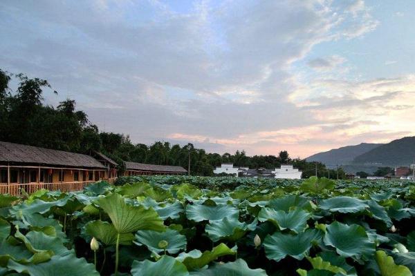 ʮ(g)mr(nng)儓(chung)I(y)¸(xing)Ŀ ʮ(g)T(chung)I(y)(xing)Ŀ]