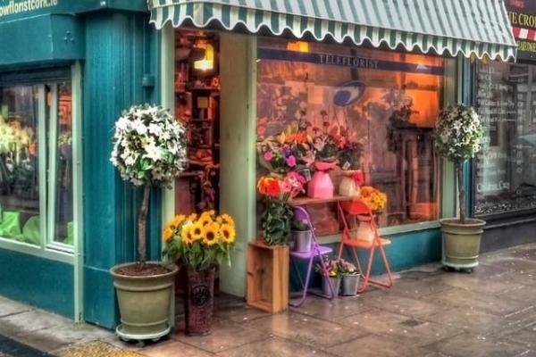 ʮ(g)mr(nng)儓(chung)I(y)¸(xing)Ŀ ʮ(g)T(chung)I(y)(xing)Ŀ]