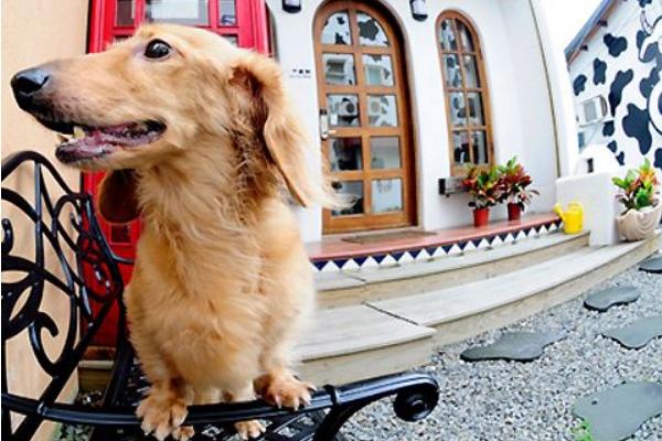 ʮ(g)mr(nng)儓(chung)I(y)¸(xing)Ŀ ʮ(g)T(chung)I(y)(xing)Ŀ]