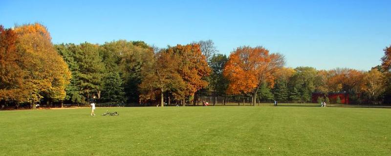 ƺ˹MXһƽ˹Yô