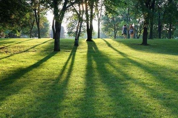 ƺ˹MXһƽ˹Yô