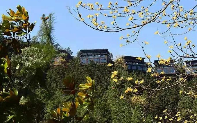 3(g)l(xing)Ҏ(gu)