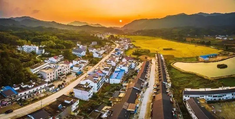 l(xing)ΰl(f)չ4(chung)·12ͻcҎ(gu)˼·䰸