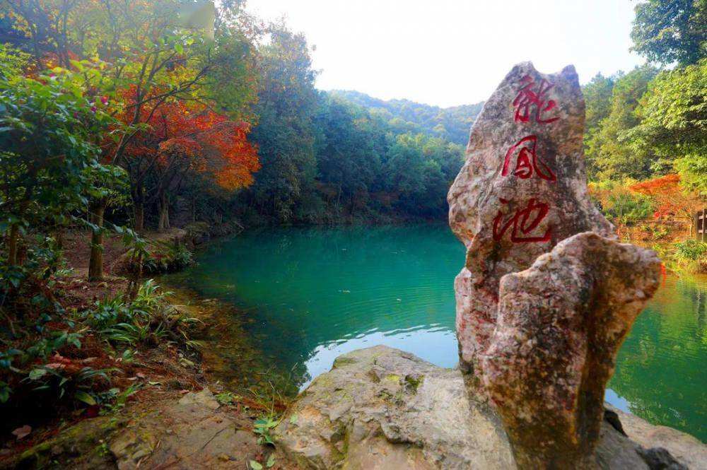 ؑc߅iir(nng)ҘЩA(y)Ԓ̖(ho)a