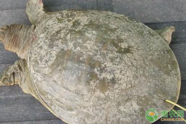 B(yng)Mˎr(sh)ˎʹõĿƌW(xu)c(zhn)_