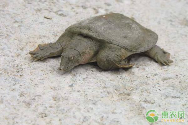 B(yng)Mˎr(sh)ˎʹõĿƌW(xu)c(zhn)_