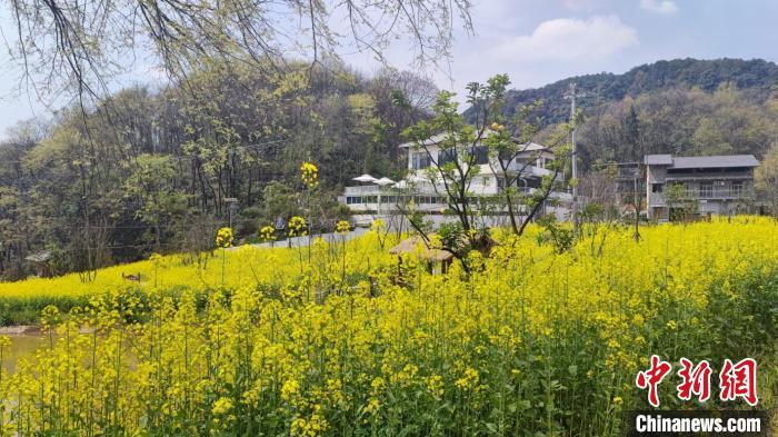 ؑcl(xing)g(sh)^ˇg(sh)d