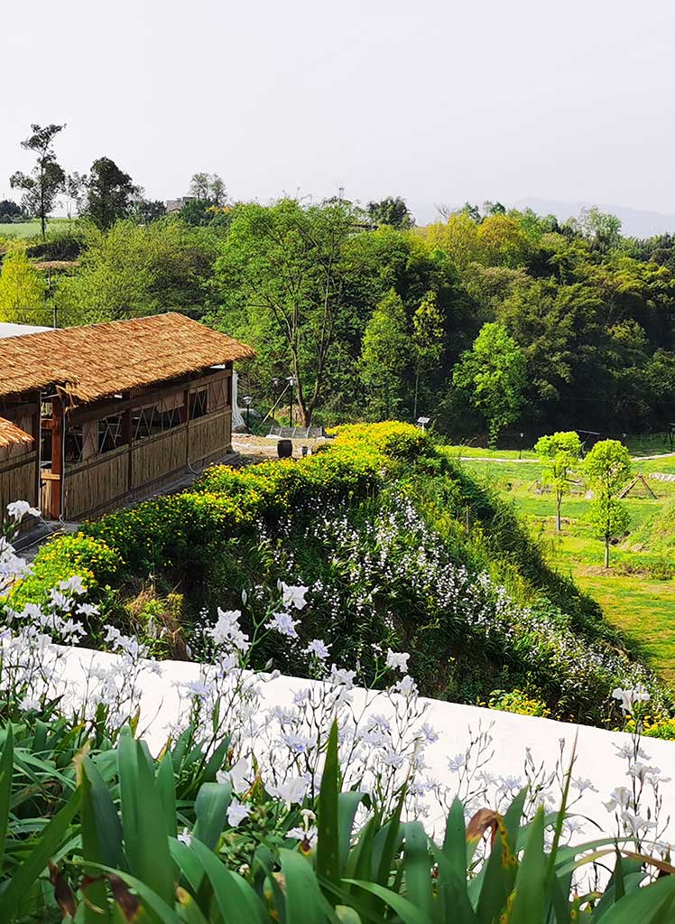 ҕɽˮgļҡc҂ơɽl(xing)ɽ݂f(shu)