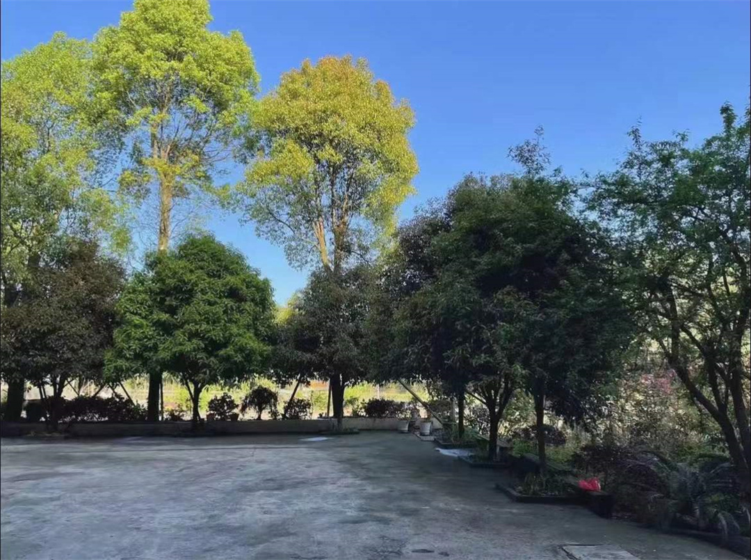 ef44cc4ef9dc76fc1f56559163f817c