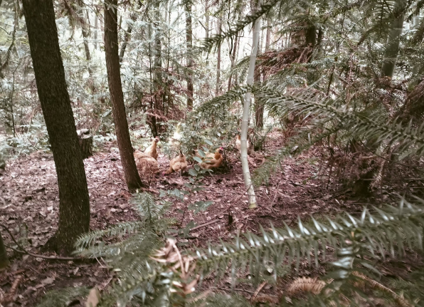 ؑcɽuռµĸuɢB(yng)uۣζr(ji)(sh)