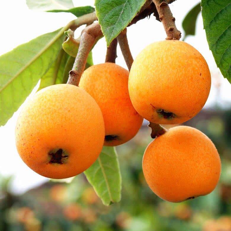 1-20032F95T9610.jpg 1-20032F95T9610.jpg